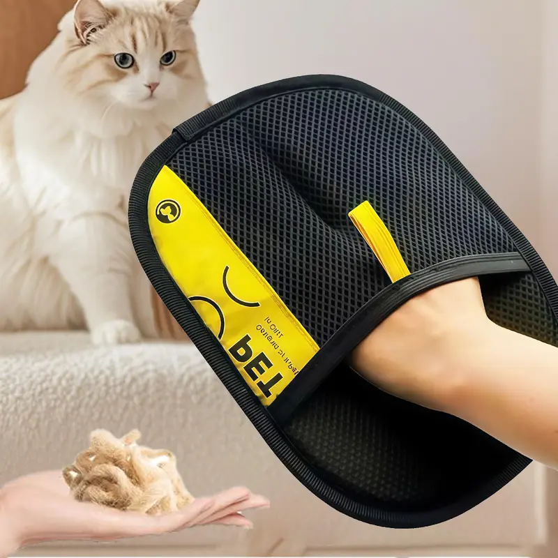 Home & Cleaning